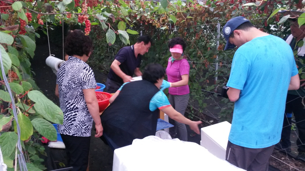 우리 미자씨를 찾아주세요!